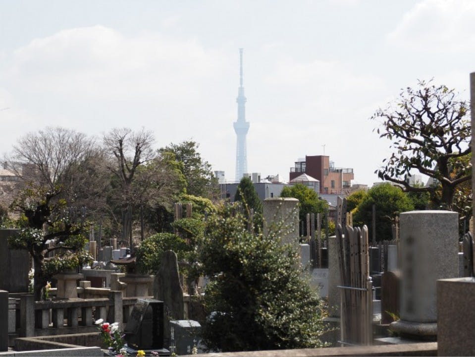 都立 谷中霊園