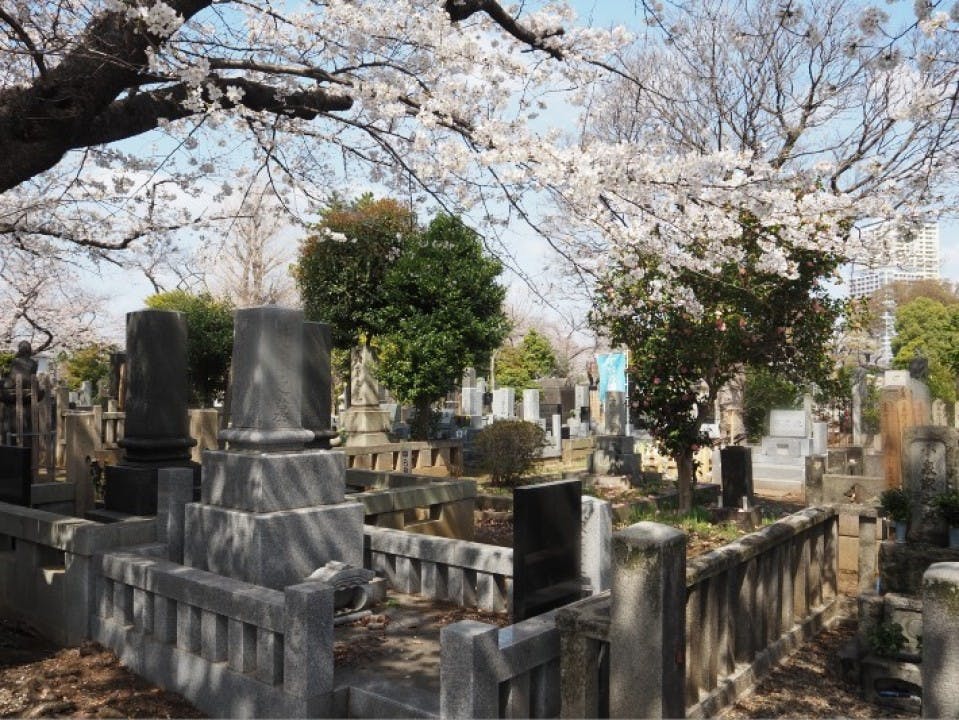 都立 谷中霊園