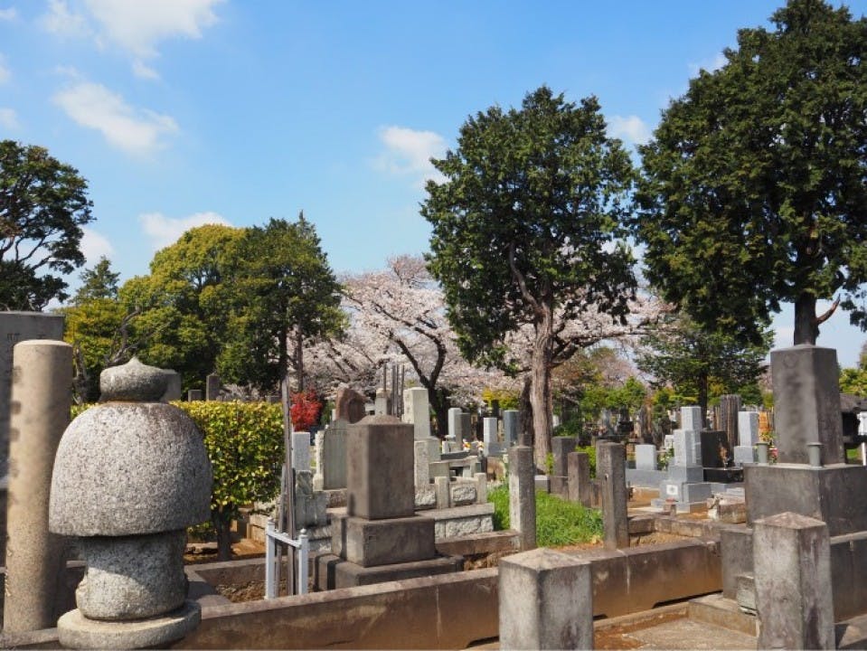 都立 谷中霊園