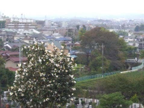 八王子市営 緑町霊園