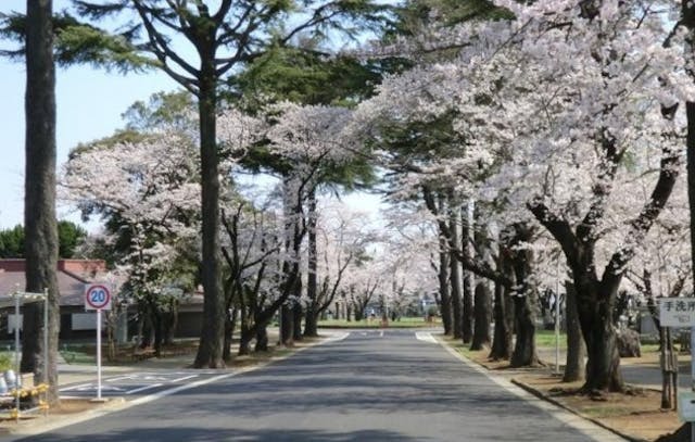 千葉市営 桜木霊園