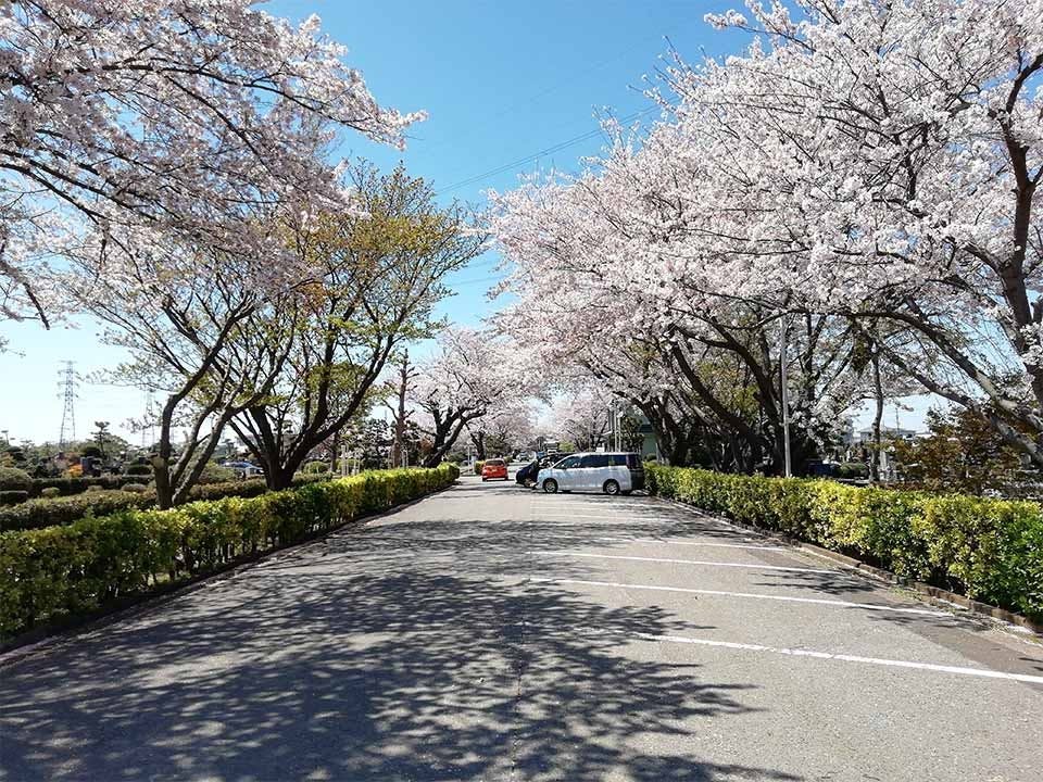 船橋市営 馬込霊園