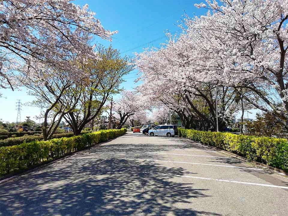 船橋市営 馬込霊園