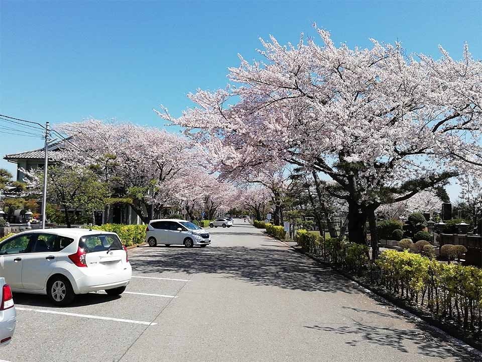 船橋市営 馬込霊園