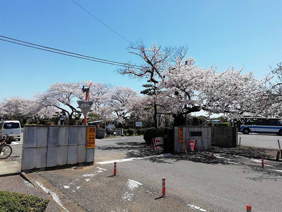 船橋市営 馬込霊園