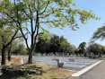 川崎市営 緑ヶ丘霊園(津田山霊園)