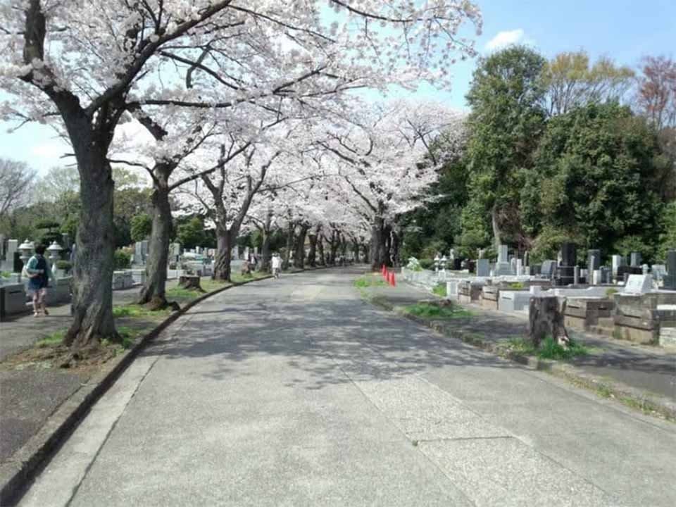 川崎市営 緑ヶ丘霊園(津田山霊園)