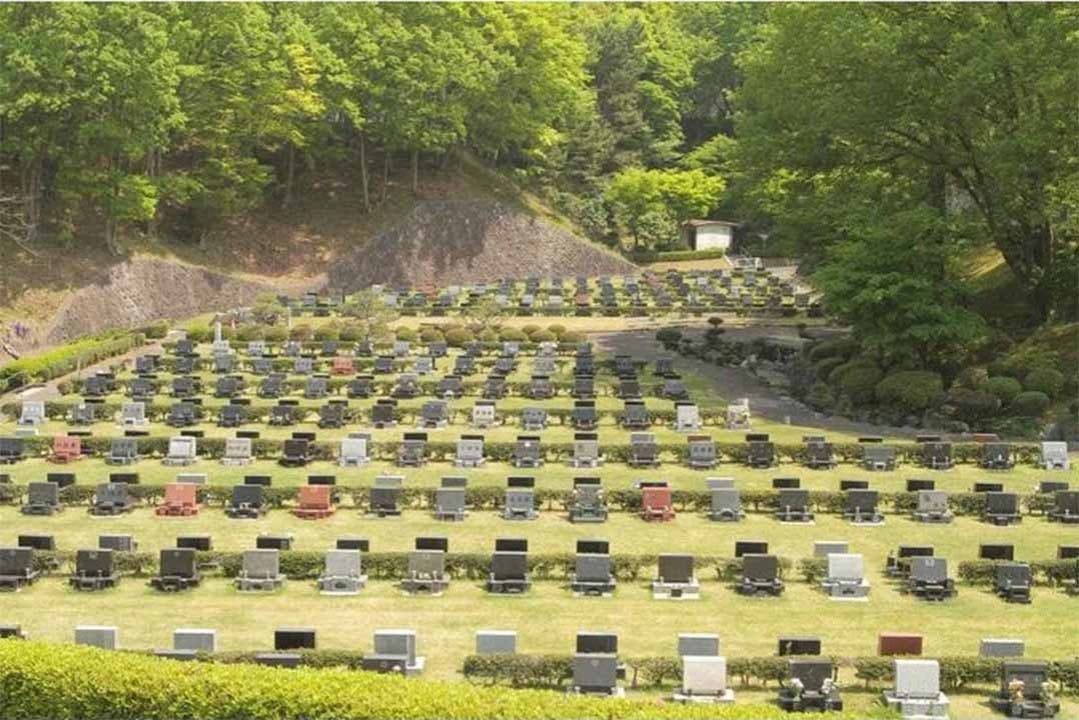 平塚市営 土屋霊園 芝生墓所 各区画との間隔が広くとられており、ゆったりとお参りができます