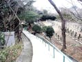 横須賀市営 馬門山墓地 園内は近隣の方々にとってのお散歩コースでもあります