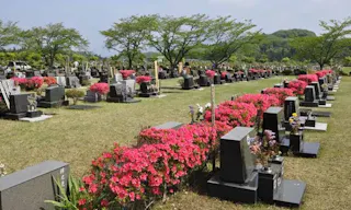 秩父市営 秩父聖地公園やすらぎの丘