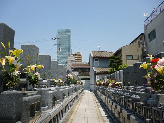 泰清寺墓地