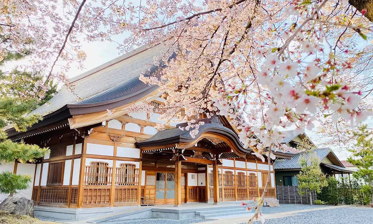 実相寺 樹木葬・永代供養墓(川口市)の樹木葬