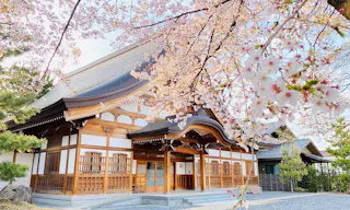 実相寺 樹木葬・永代供養墓