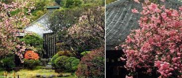 行時山 光則寺の画像