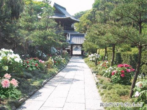 建長寺(臨済宗大本山)