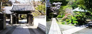 泉谷山 浄光明寺
