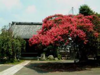 法華山 本興寺