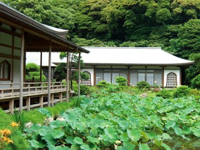 天照山蓮華院 光明寺