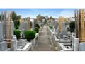 海蔵寺墓苑 陽当たりの良い明るい墓地区画