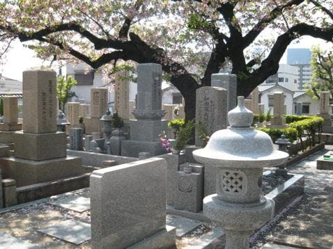 齢延寺墓地の画像