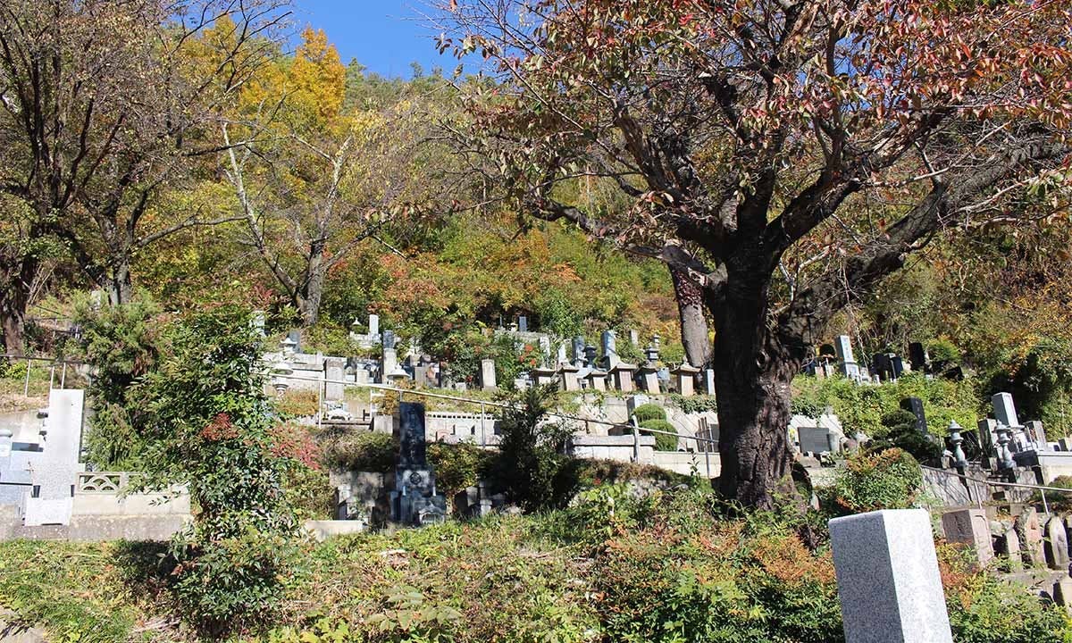善徳寺墓地