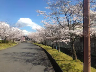 公益財団法人 瀬田南大萱霊園