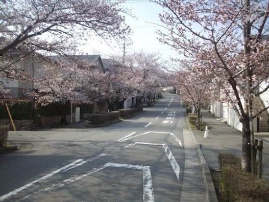 宝塚霊園