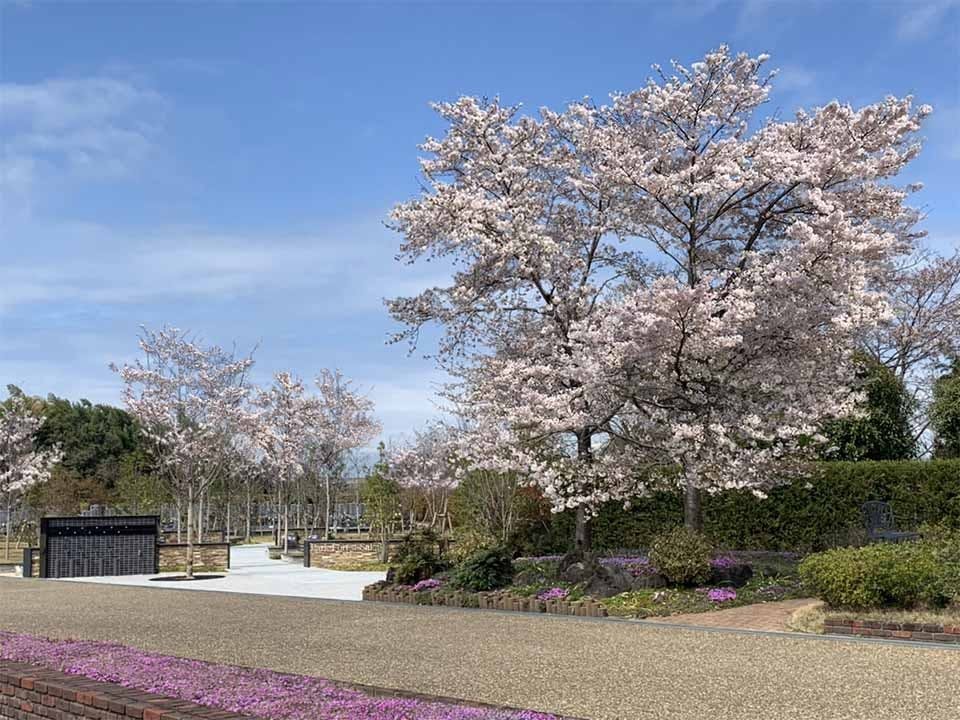 パークフォレスト堺