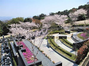 広島平和霊園の画像