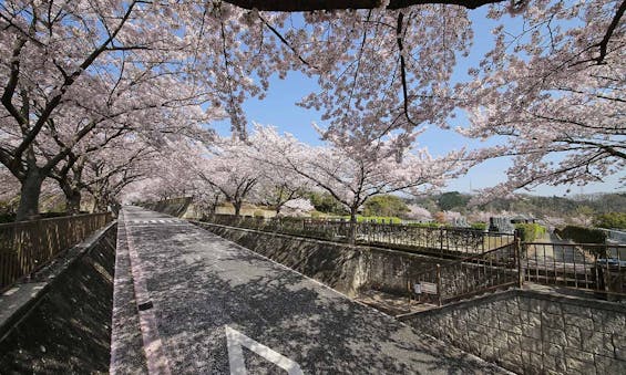 大阪柏原聖地霊園