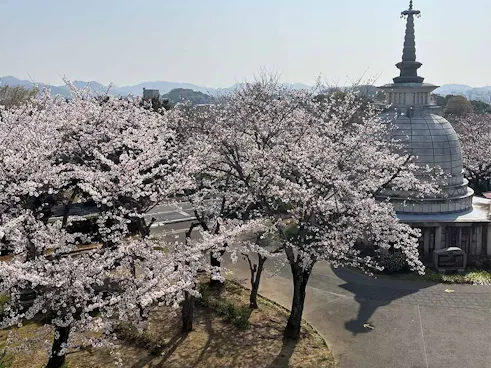 姫路市営 名古山霊苑