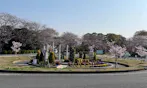 姫路市営 名古山霊苑