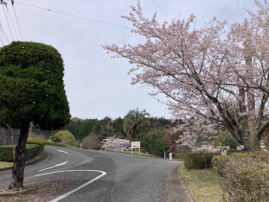 福岡中央霊園