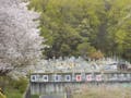 尾崎霊園