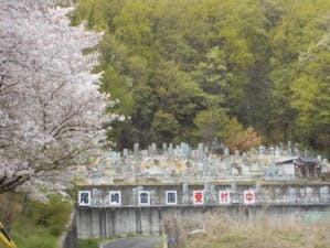 尾崎霊園の画像