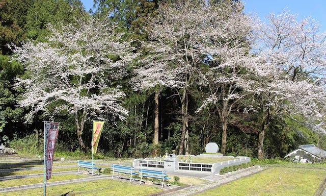 阿弥陀寺公園墓地