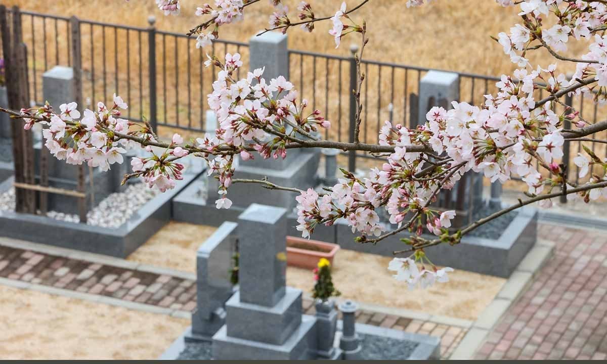 メモリアルパーク大津 桜公園墓地の画像