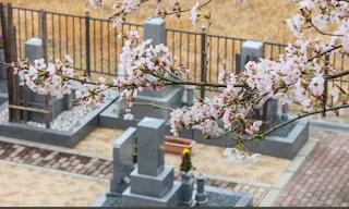 メモリアルパーク大津 桜公園墓地
