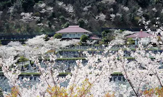 油山平成御廟