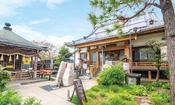 本光寺・市川聖地苑 永代供養墓・樹木葬