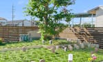 本光寺・市川聖地苑 永代供養墓・樹木葬 永代供養付樹木葬「新樹区」