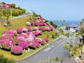 二見ヶ浦公園聖地 眺望（霊園管理事務所前のつつじ群）