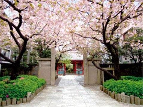 養福寺の画像