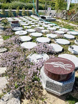 圓光寺浄土苑(円光寺浄土苑)