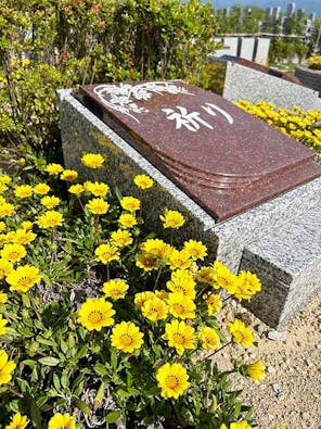 圓光寺浄土苑（円光寺浄土苑）