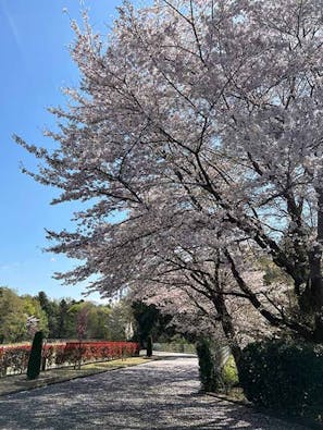 平成東武霊園