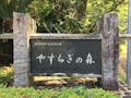 氷川町桜ケ丘墓地公苑（やすらぎの森）