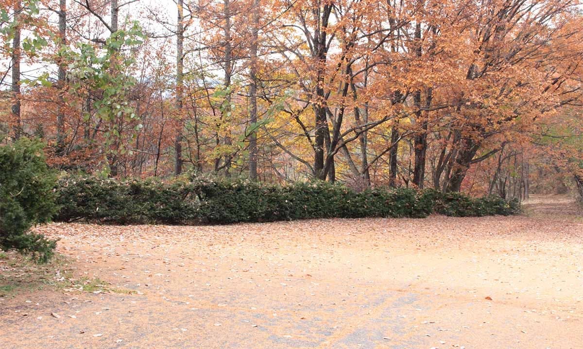 佐久穂町営 八千穂霊園