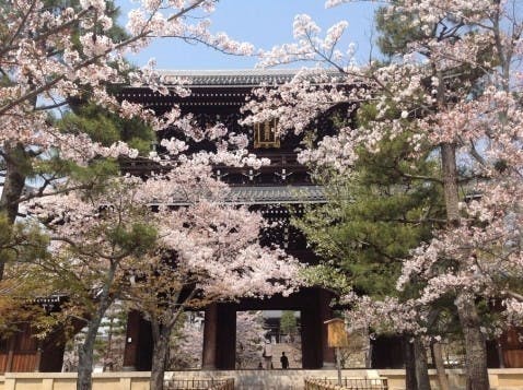 くろ谷 金戒光明寺 紫雲墓地