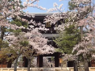 くろ谷 金戒光明寺 紫雲墓地